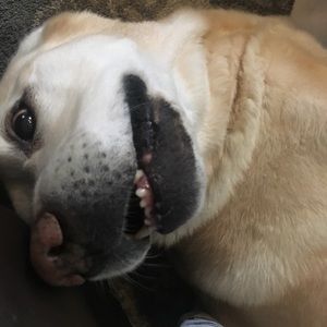 Meet your Posher, Christy